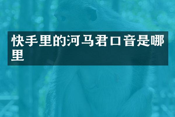 快手里的河马君口音是哪里