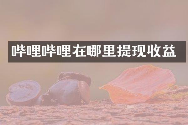 哔哩哔哩在哪里提现收益