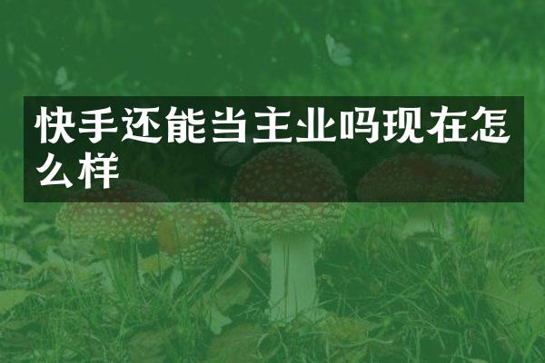 快手还能当主业吗现在怎么样