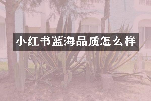 小红书蓝海品质怎么样