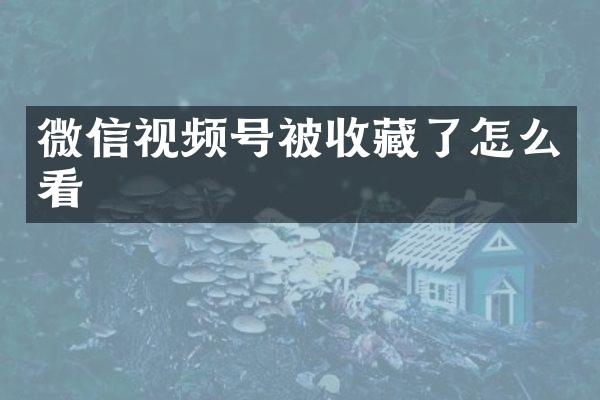 微信视频号被收藏了怎么看