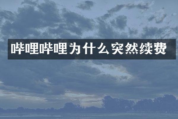 哔哩哔哩为什么突然续费
