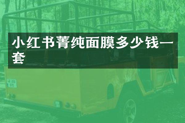 小红书菁纯面膜多少钱一套