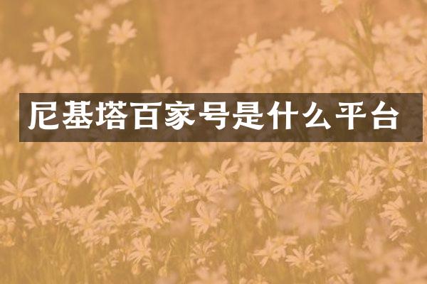 尼基塔百家号是什么平台