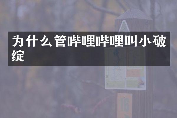 为什么管哔哩哔哩叫小破绽