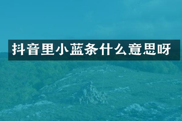 抖音里小蓝条什么意思呀