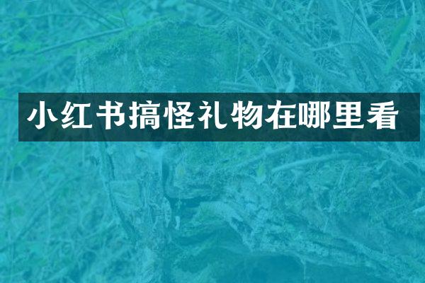 小红书搞怪礼物在哪里看
