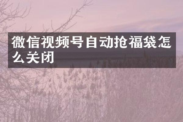 微信视频号自动抢福袋怎么关闭