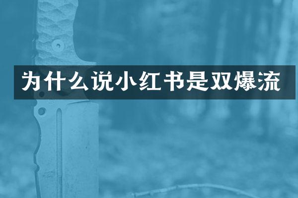 为什么说小红书是双爆流