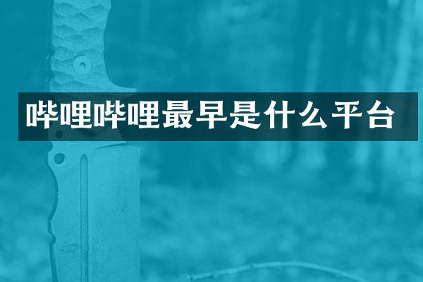 哔哩哔哩最早是什么平台