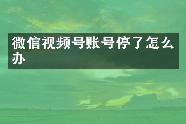 微信视频号账号停了怎么办