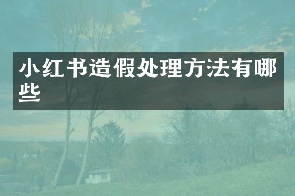 小红书造假处理方法有哪些