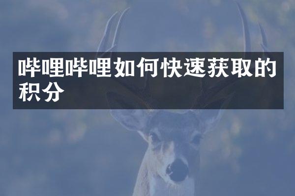 哔哩哔哩如何快速获取的积分