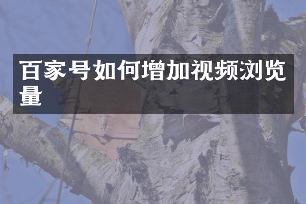 百家号如何增加视频浏览量