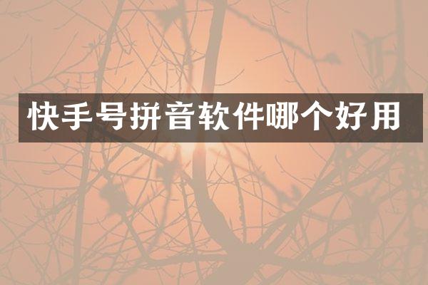 快手号拼音软件哪个好用