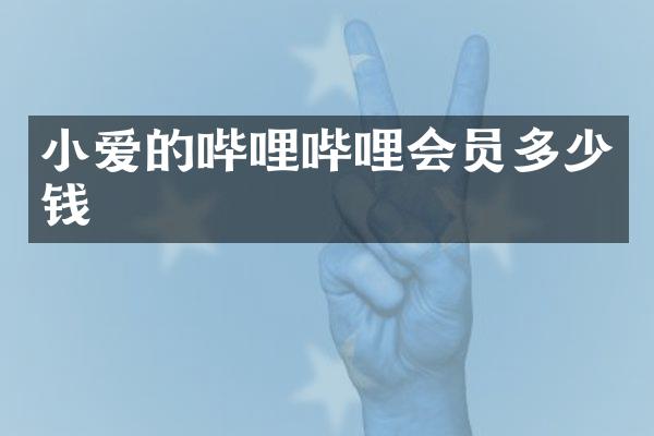 小爱的哔哩哔哩会员多少钱
