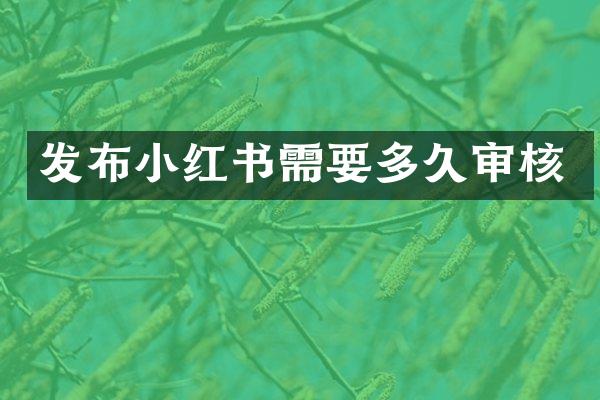 发布小红书需要多久审核