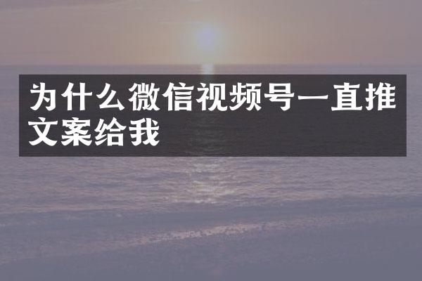 为什么微信视频号一直推文案给我