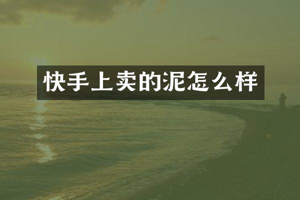 快手上卖的泥怎么样