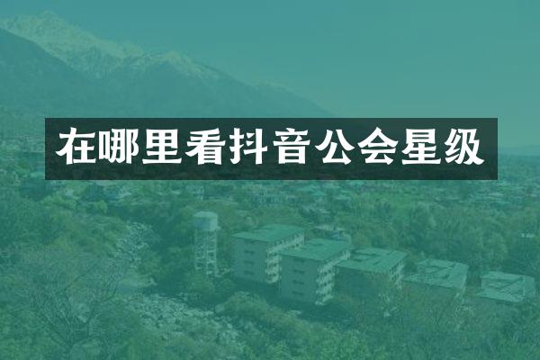 在哪里看抖音公会星级