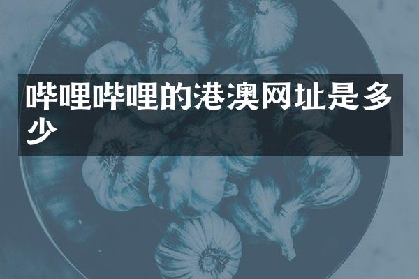 哔哩哔哩的港澳网址是多少