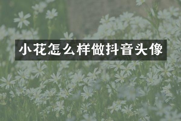 小花怎么样做抖音头像