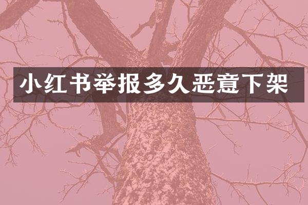 小红书举报多久恶意下架