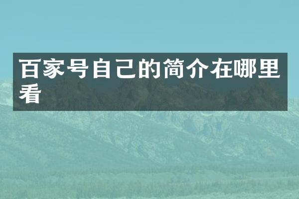 百家号自己的简介在哪里看