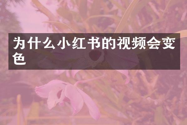 为什么小红书的视频会变色