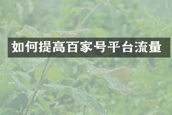 如何提高百家号平台流量
