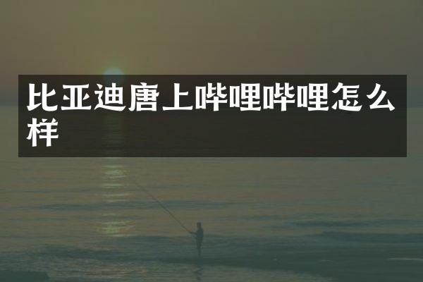 比亚迪唐上哔哩哔哩怎么样