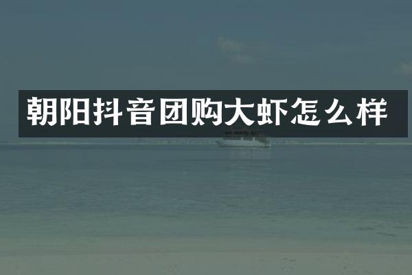 朝阳抖音团购大虾怎么样