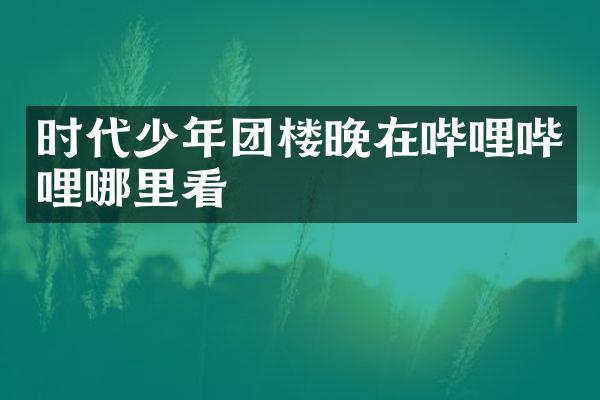 时代少年团楼晚在哔哩哔哩哪里看