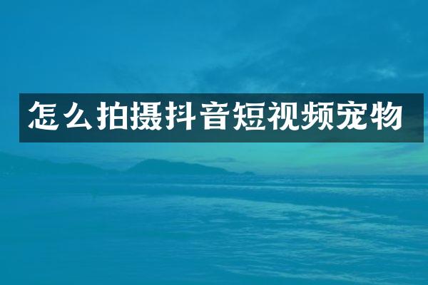 怎么拍摄抖音短视频宠物