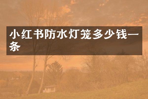 小红书防水灯笼多少钱一条
