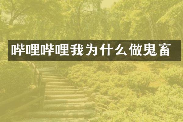 哔哩哔哩我为什么做鬼畜