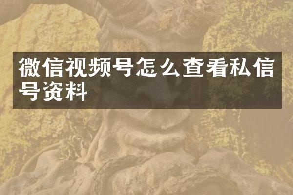微信视频号怎么查看私信号资料