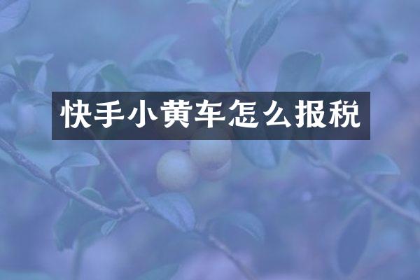 快手小黄车怎么报税