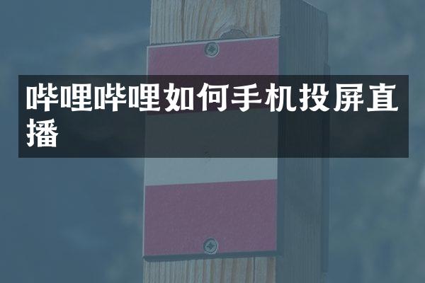 哔哩哔哩如何手机投屏直播