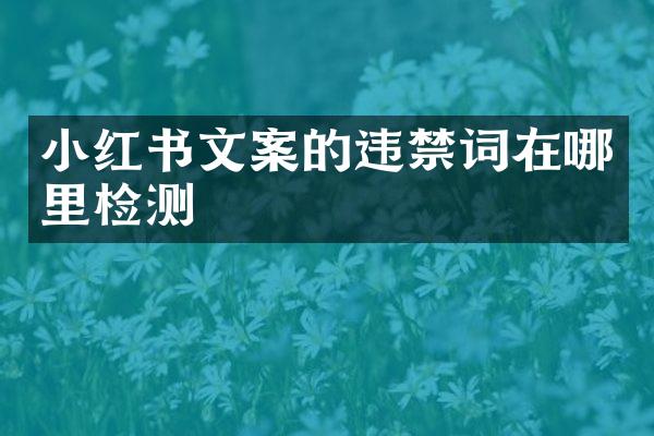 小红书文案的违在哪里检测