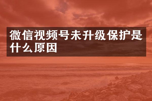 微信视频号未升级保护是什么原因