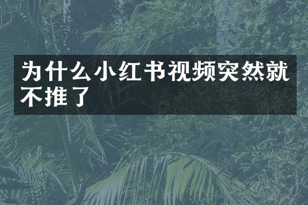 为什么小红书视频突然就不推了
