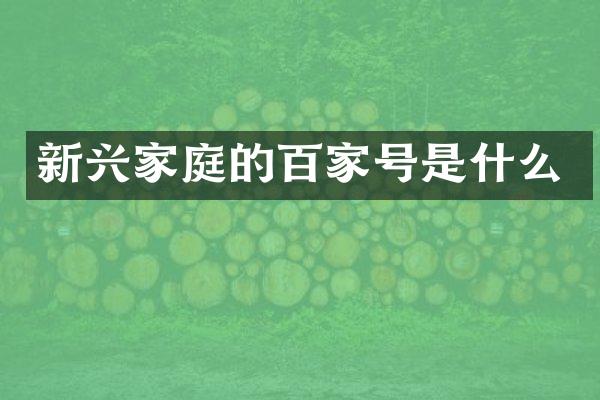 新兴家庭的百家号是什么