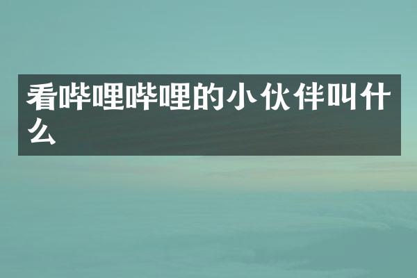 看哔哩哔哩的小伙伴叫什么