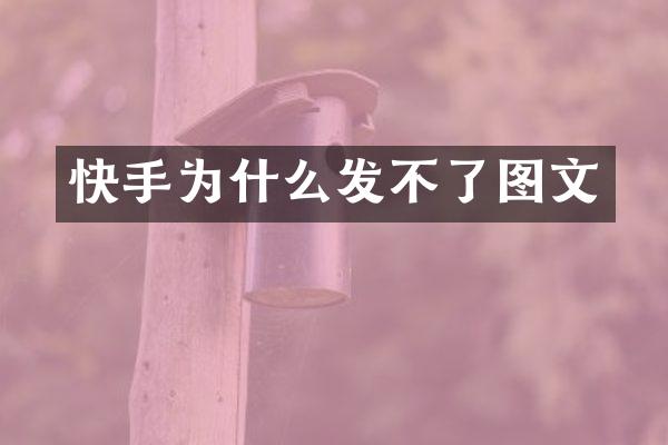 快手为什么发不了图文