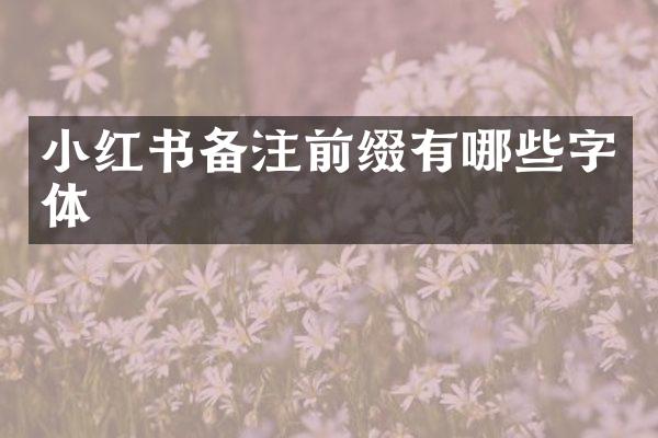 小红书备注前缀有哪些字体