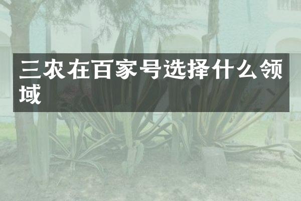 三农在百家号选择什么领域