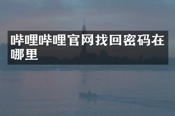 哔哩哔哩官网找回密码在哪里