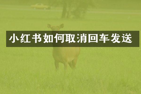小红书如何取消回车发送
