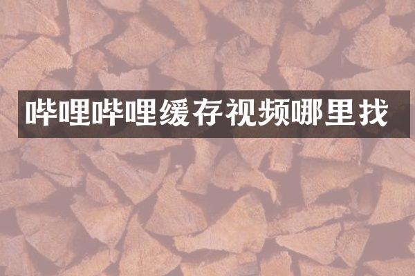 哔哩哔哩缓存视频哪里找